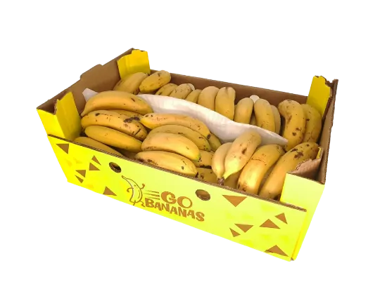 BANANAS NULEAF BOX 17KG