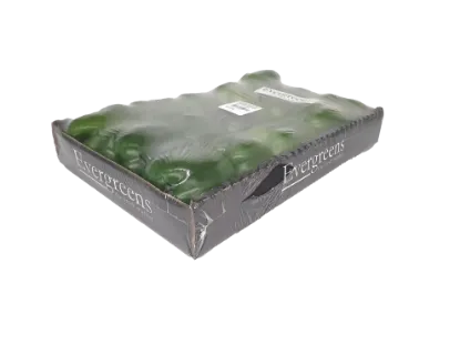 GREEN PEPPER TF1 BOX