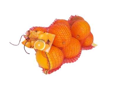 ORANGES NAVEL EG CARRI BAG