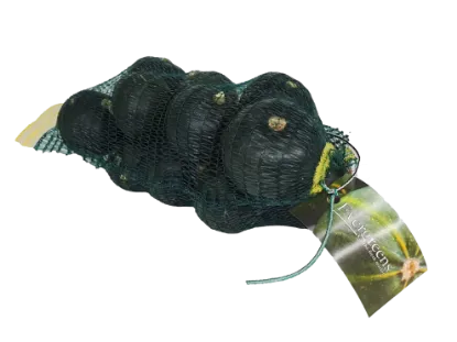 GEMS SQUASH CARRI BAG