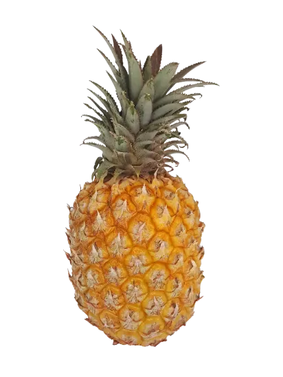 QUEEN  PINEAPPLE EACH