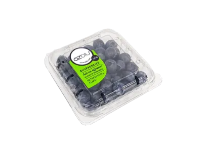 BLUEBERRIES 125G OZBLU PKT