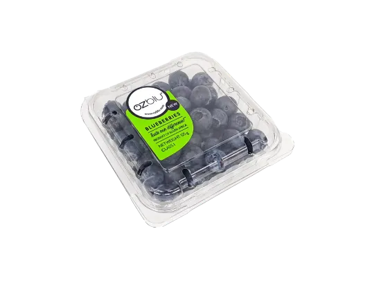 BLUEBERRIES 125G OZBLU PKT